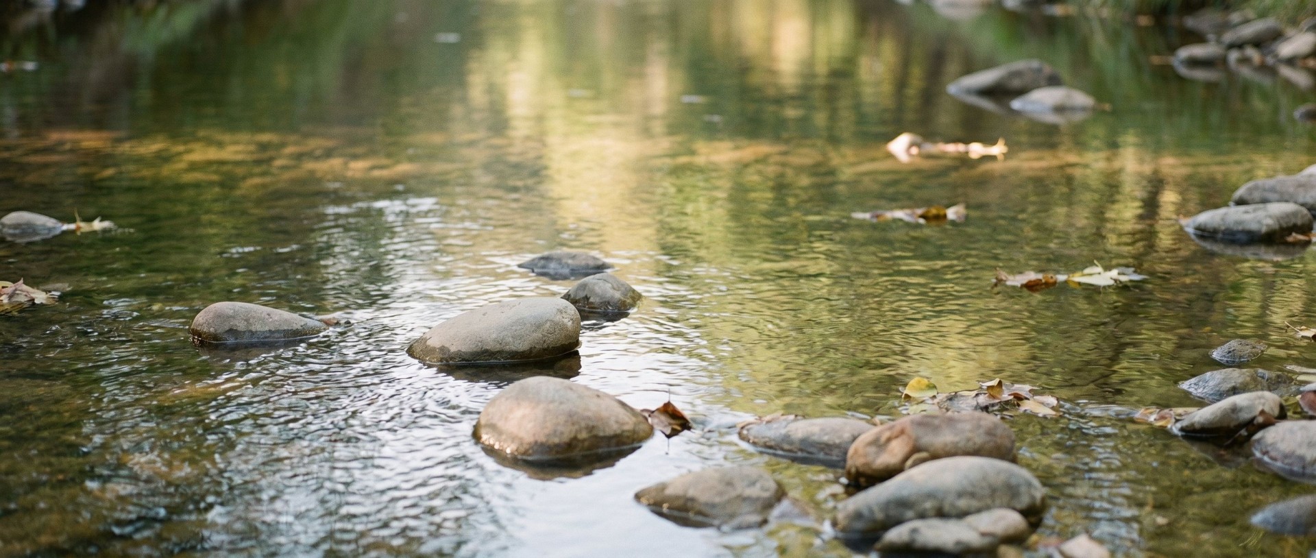 Ruhiges Wasser mit Steinen und treibenden Blättern